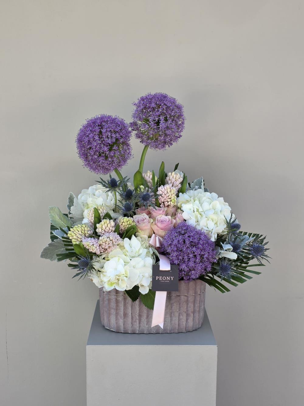 Purple Allium Garden 